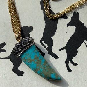 Turquoise tooth necklace